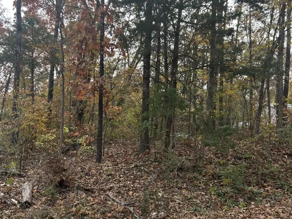 000 Vine Road, Merriam Woods, MO 65740