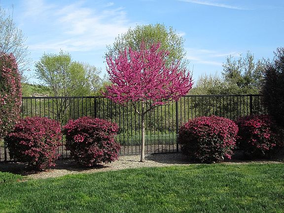 3rd image of 4059 Ironwood Dr