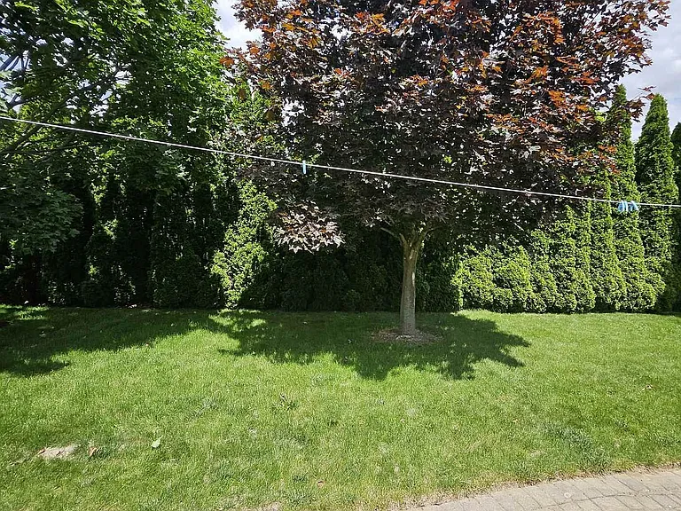 413 Keil Trl N — Photo 36