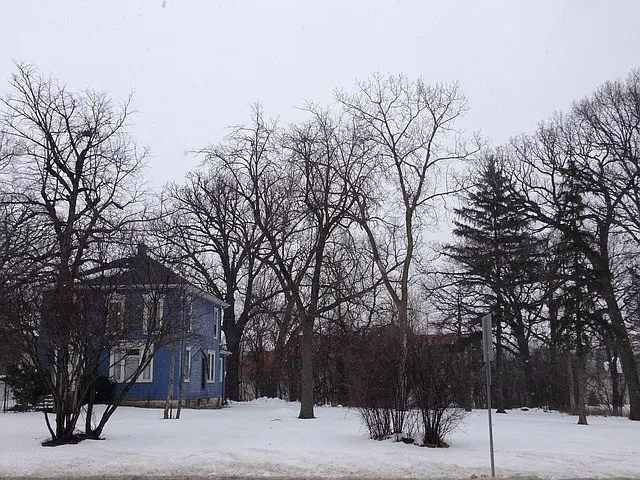 3207 York Rd photo 1