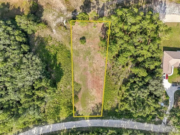 100 Berryhill Dr Lot 63, Webster, FL 33597