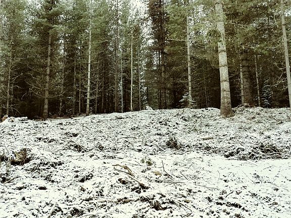 2nd image of 103 Blazing Saddle