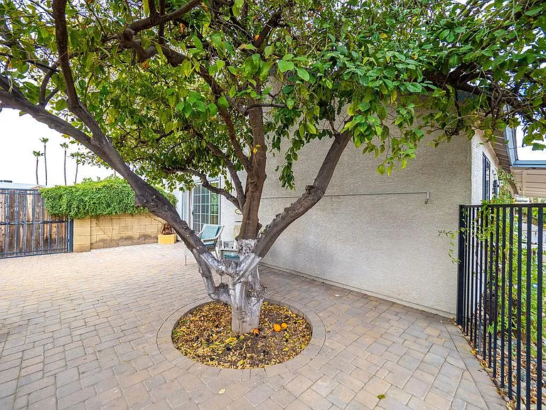 6308 W Port Royale Ln — Photo 27