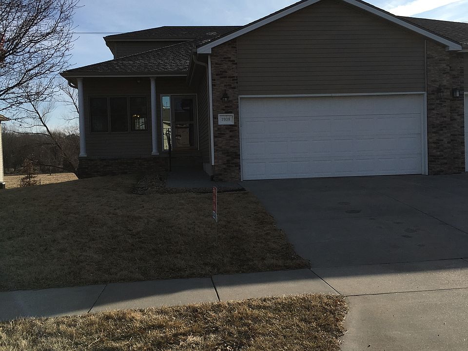 Spring/Fall yellow flowers 