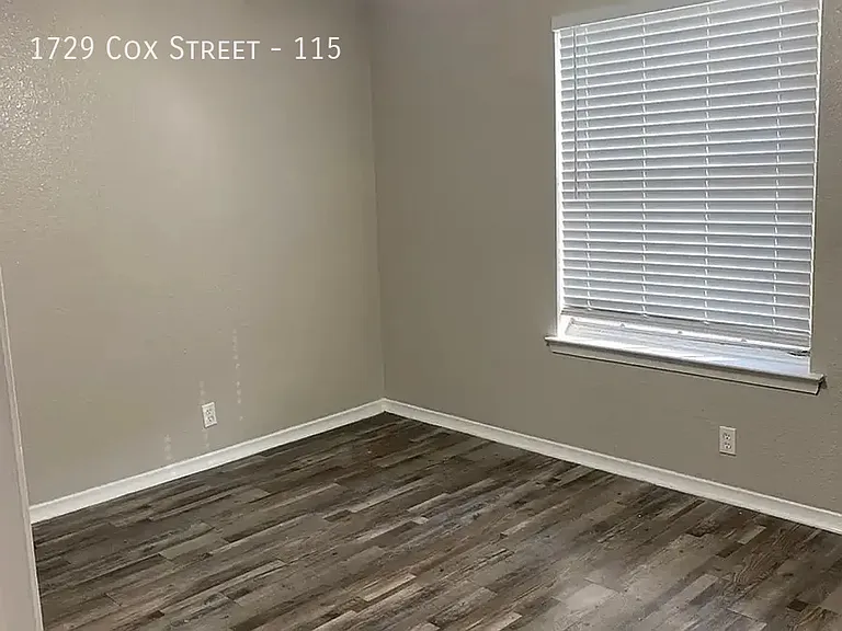 1729 Cox St — Photo 365