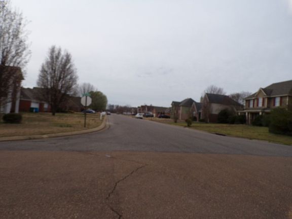 4th image of 7463 Fox Creek Dr