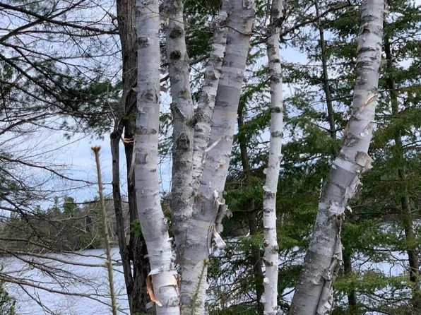 Lake Bluff Dr, Alpena, MI 49707