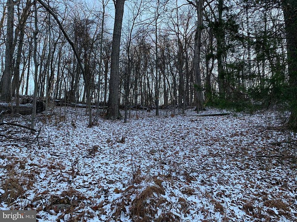 2nd image of Nancy Ct