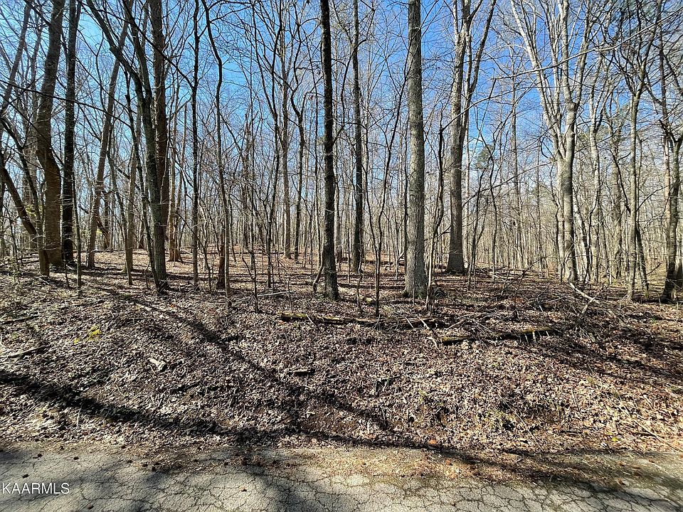 2nd image of Sophias Rd