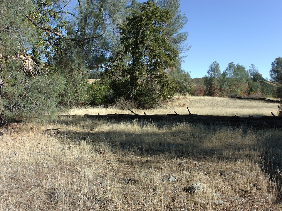 2nd image of 17150 Elder Creek Cir