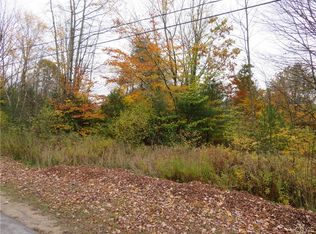 0 Bull Run Rd LOT 16, Altmar, NY 13302