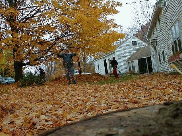 Fall Foliage (SE)