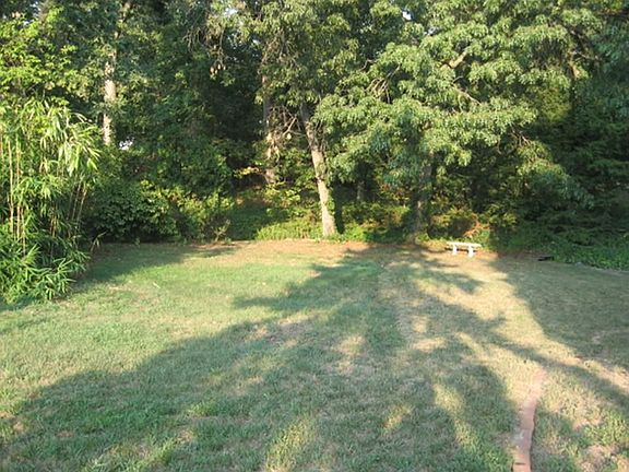 Backyard view 1