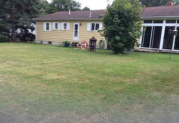 back yard