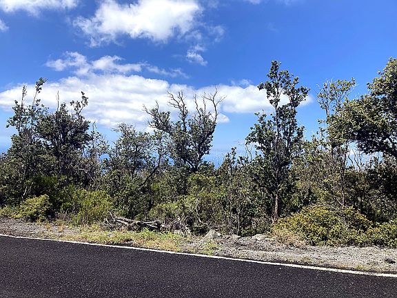 4th image of Pineapple Pkwy Lot 14