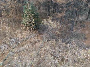 Perkinstown Ave, Medford, WI 54451