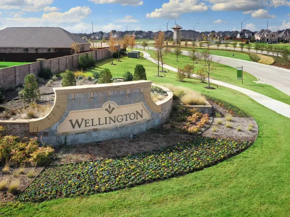 Homes Available Soon, Wellington