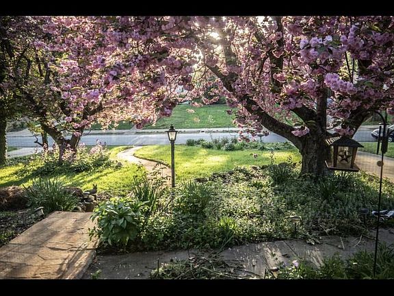 Gorgeous trees in Aptil