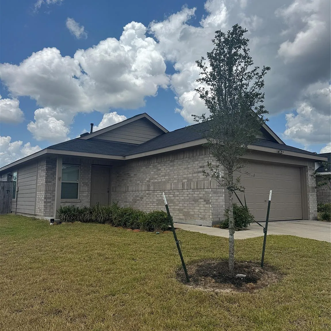 3 bed, 2.0 bath, 1320 sqft, $1,800 — Photo 2