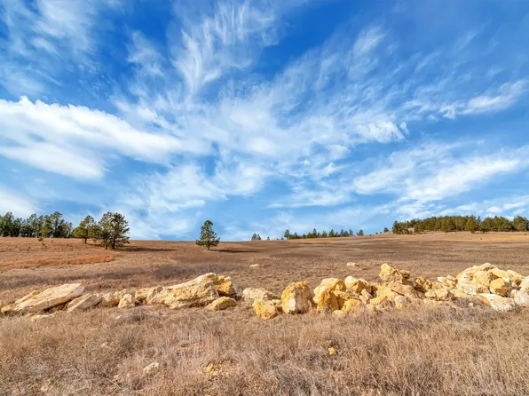 LOT 10 Lonesome Dove Dr, Custer, SD 57730