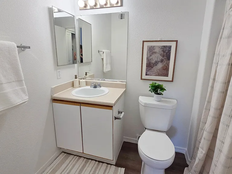 Featuring a spacious vanity, ample mirror space, and a full tub-shower combination, this thoughtfully designed space offers both comfort and convenience.