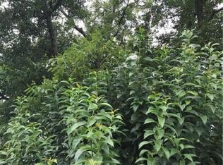 11 Robert Ct, Abita Springs, LA 70420