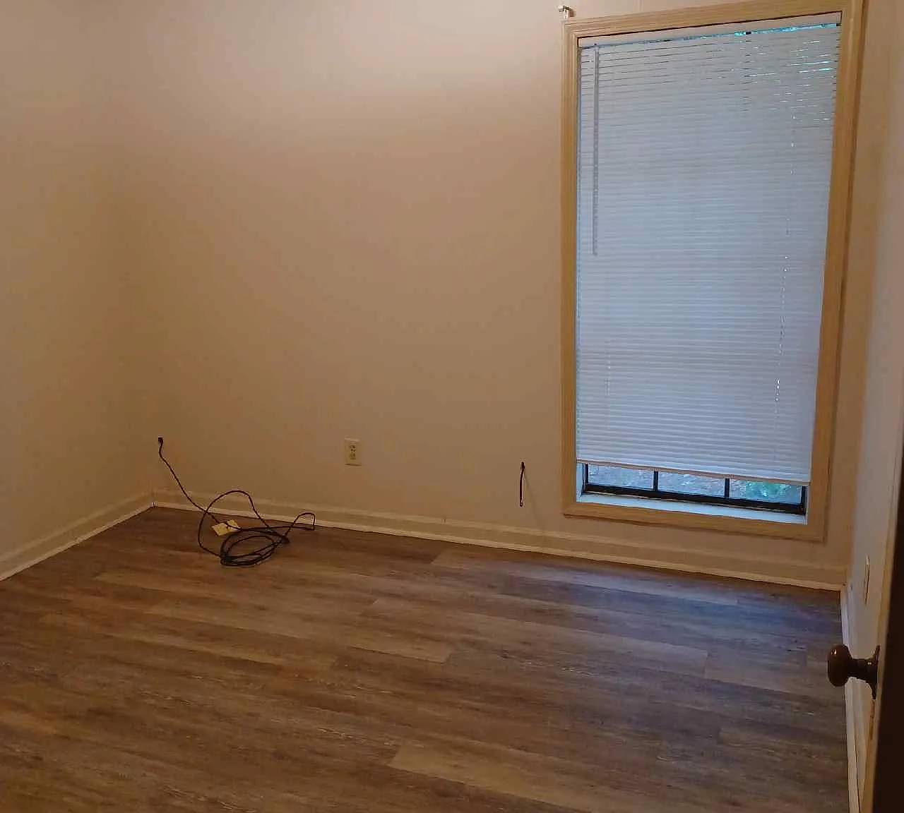 1908 Reed Street - 0 — Photo 4
