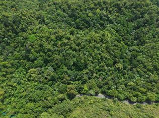 647 Km 30 #KM-3.0, Vega Alta, PR 00692