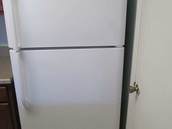 5th image of 1401 S Palmetto Ave APT 117