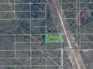Dill Rd LOT 250, Orlando, FL 32820