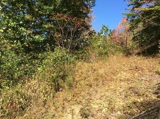 4838 Leatherwood Rd, Garrison, KY 41141