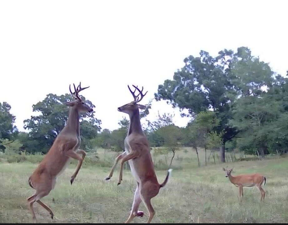 1st image of Tbd High Drive