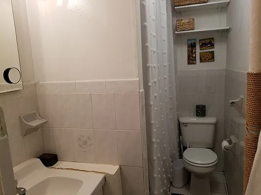 Rented by Brooklyn Landmark Real Estate | media 5