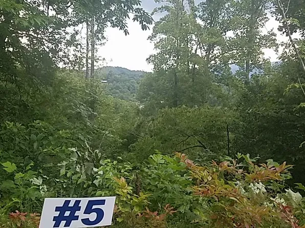 5 Laid Ln, Whittier, NC 28789