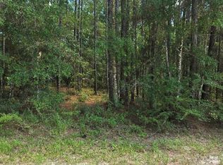 14126 Ricebird Ave LOT 2, Brooksville, FL 34614