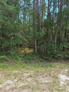 14126 Ricebird Ave LOT 2, Brooksville, FL, 34614