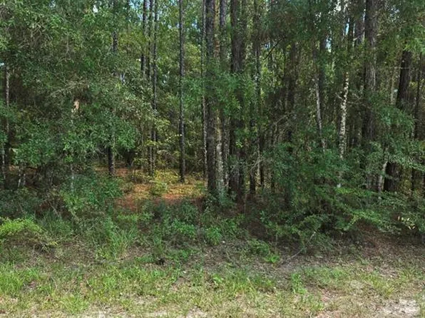14126 Ricebird Ave Lot 2, Brooksville, FL 34614