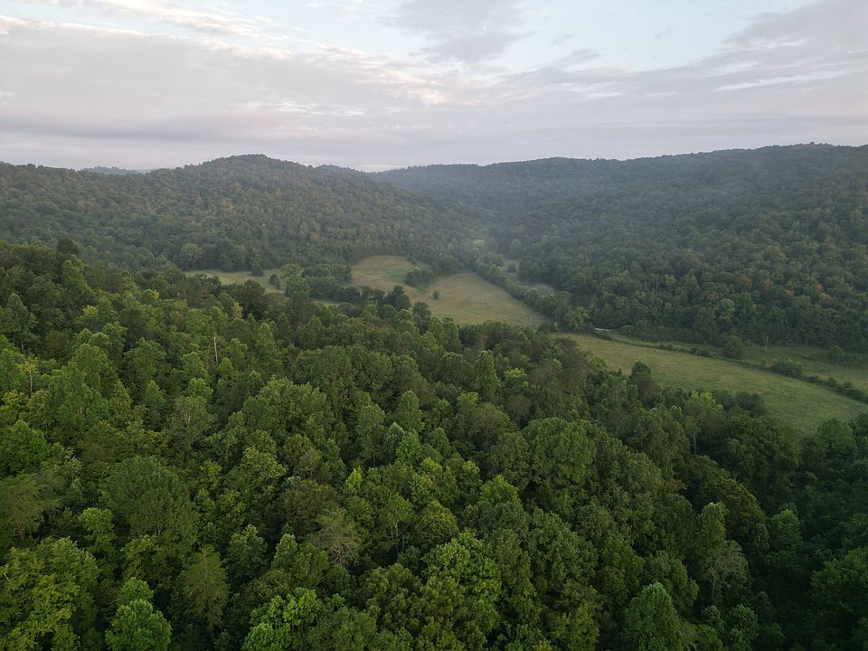 16th image of 597 Lost Hollow Rd