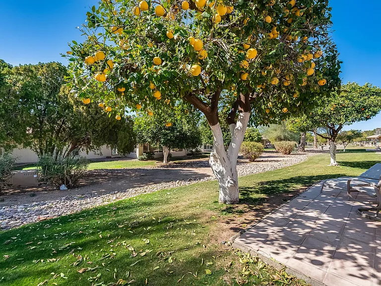 12535 W Seneca Dr — Photo 41