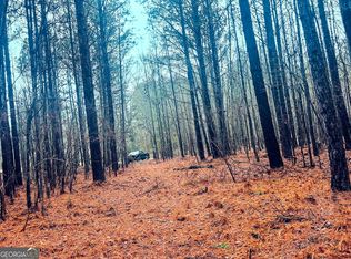 0 Saint Marys Rd SW Tract 1A, Crawfordville, GA 30631