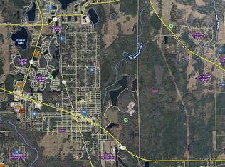 Dill Rd LOT 24234, Orlando, FL 32820