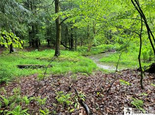 0 Walker Rd #64, Bemus Pt, NY 14712