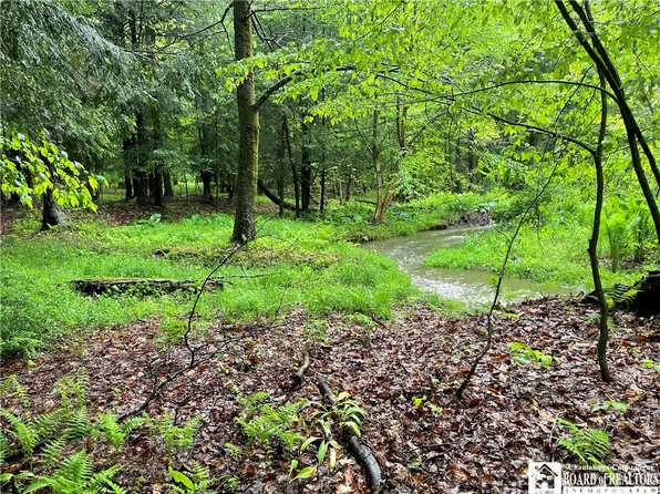 0 Walker Rd #64, Bemus Pt, NY 14712