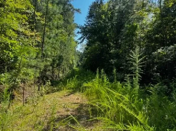 0 Pleasant Hill Church Rd, Pittsboro, NC 27312