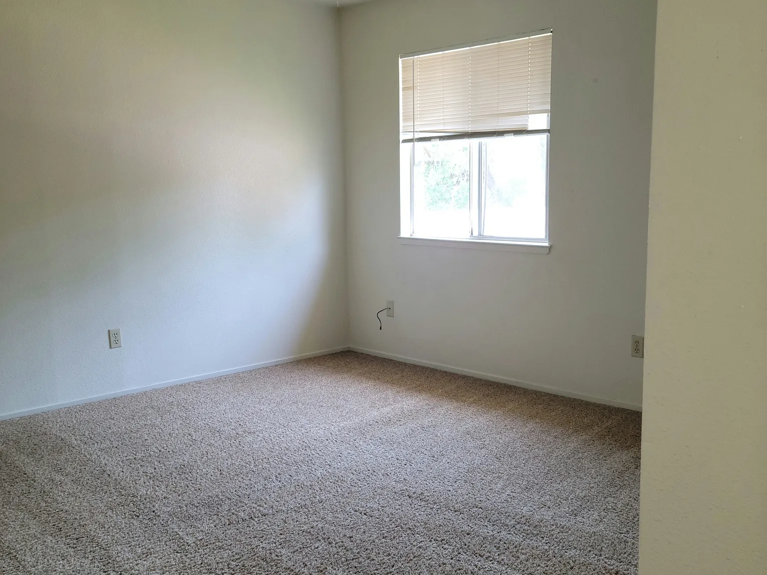 1166 Hobart St — Photo 4