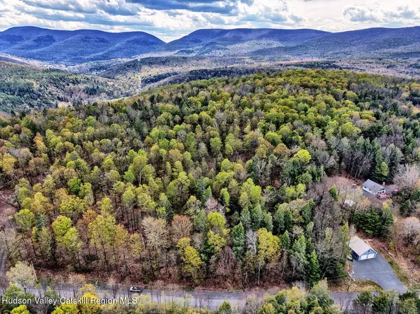 354 Terrace Drive, Prattsville, NY 12468