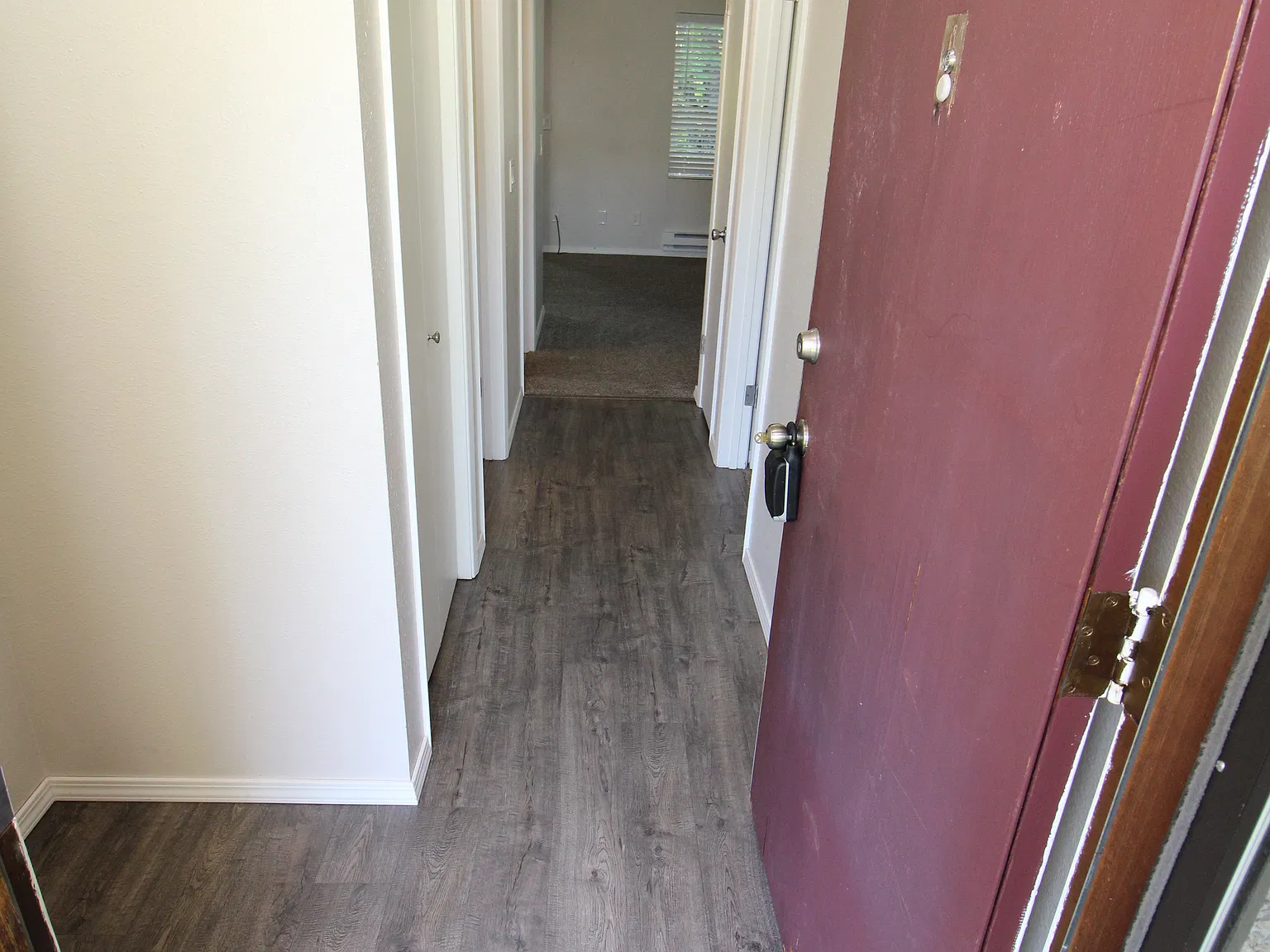 1 bed, 625 sqft, $1,595 — Photo 3
