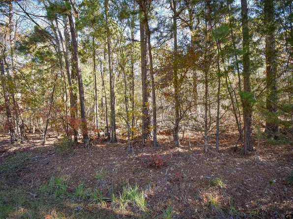 Big Oak Bay Rd Tract 2, Tyler, TX 75707