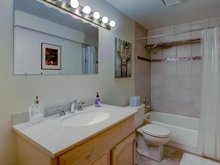 Guest Bath #3