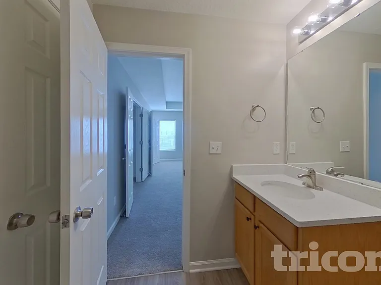 1810 Long Paw Ln — Photo 10